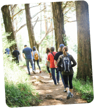 groupe en randonnée dans les bois