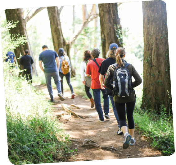 Equipes qui fait une randonnée en forêt