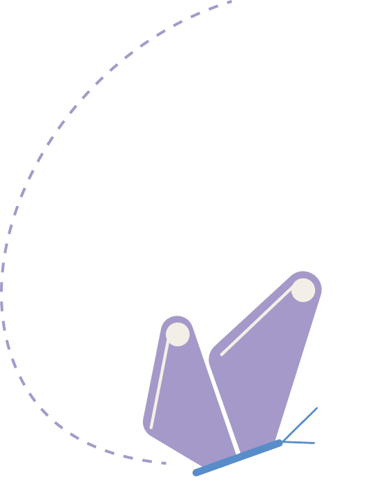 illustration papillon illio