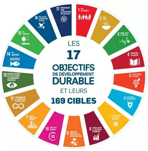 accompagnement rse illio ODD ONU